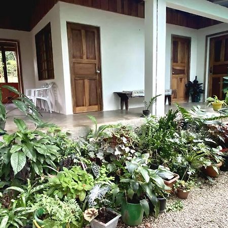 ニコヤ Casa Brizaゲストハウス エクステリア 写真