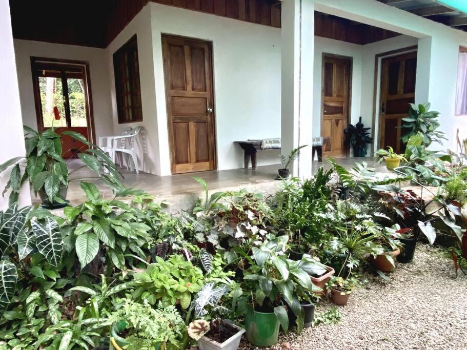 ニコヤ Casa Brizaゲストハウス エクステリア 写真