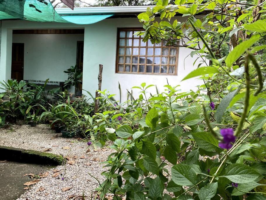 ニコヤ Casa Brizaゲストハウス エクステリア 写真