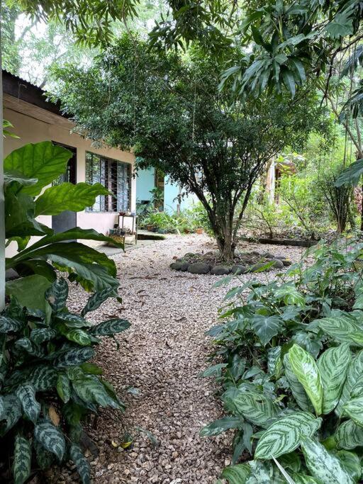 ニコヤ Casa Brizaゲストハウス エクステリア 写真